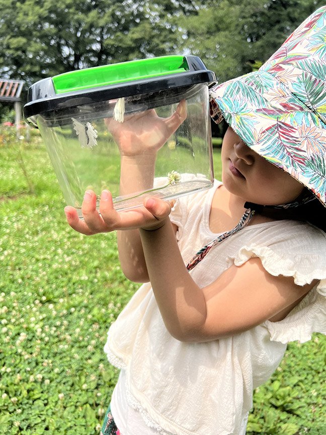 Girl at Olivetree International School in Shibuya-ku, Tokyo, examining objects she found during a park visit.